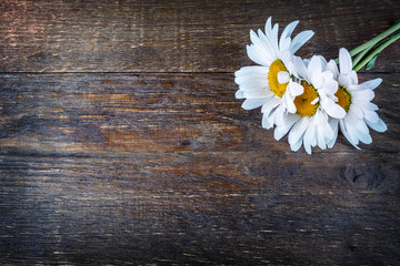 Obraz premium chamomile flowers on wooden table background