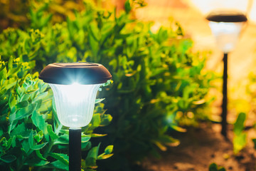 Small Solar Garden Light, Lantern In Flower Bed. Garden Design. 