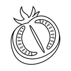 fresh tomato vegetable half cartoon, vector illustration