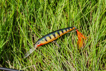 Bright predator bait to spinning on green grass