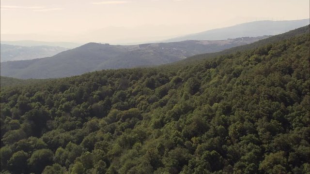 Great Forest Near Ripacndida