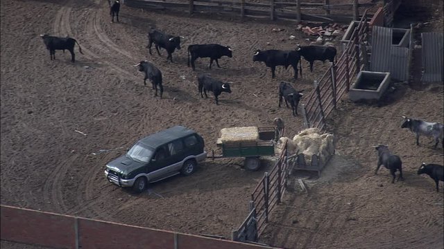 Fighting Bull Ranch