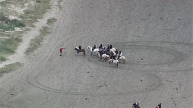 Horse Riding On Romo