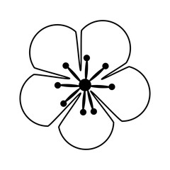 Flower floral petal, isolated flat icon design.