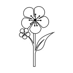 Flower floral present, isolated flat icon design.