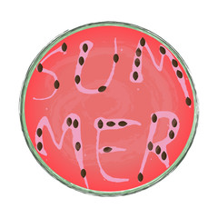 Watermelon with the word summer