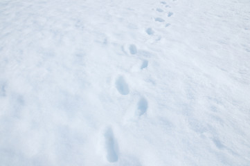 Footprint on the snow