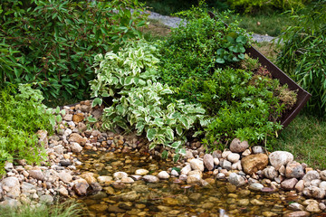 Obraz premium Small pond in landscape garden