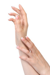 French manicure on white background