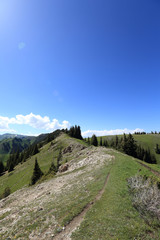beautiful hiking trail in forest mountain peak