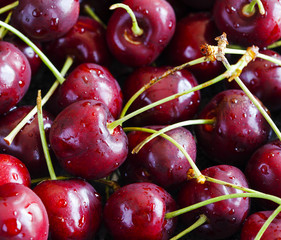 Sweet cherries