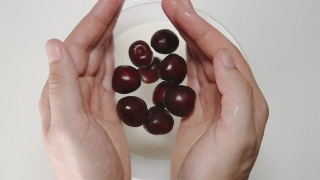 SLOW MOTION: Cherries falls from a human hands to the milk in a dish