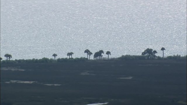 Low, St Marks National Wildlife Refuge