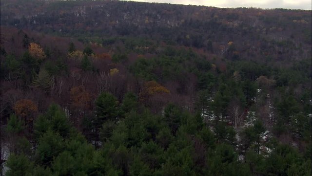 Dutton Ridge State Forest 