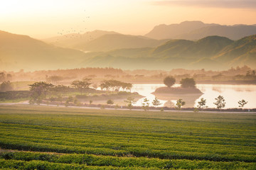 Landscape view with morning mood.