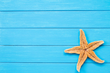 Starfish on a blue board