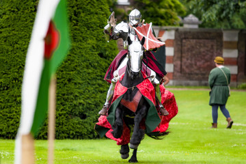 Armored knight suited for battle on horseback, charging in gallop. Galloping it’s the fastest...