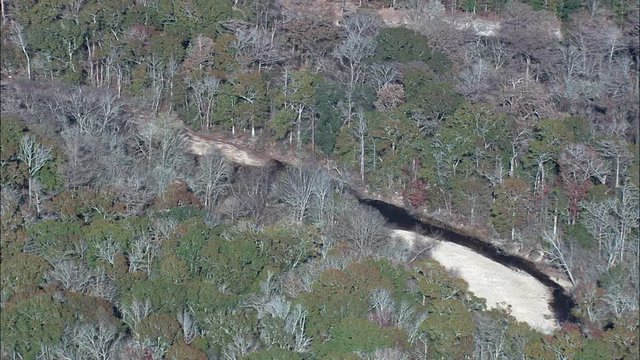 Ogeechee River Flowing Through Woods