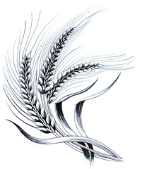 Ink sketch of a wheat