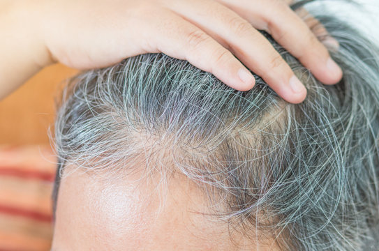 blurred of going gray in young woman shows her gray hair, hair g