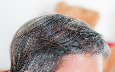 Fototapeta premium blurred of going gray in young woman shows her gray hair, hair g