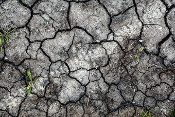 Dry soil with green moss