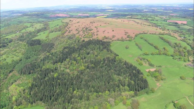  Around Garway Hill