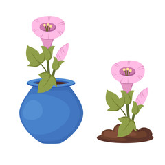 flowers in vase vector