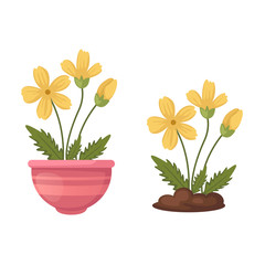 flowers in vase vector