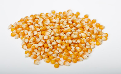 Dried corn on white background