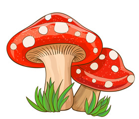 cartoon red mushrooms and grass on white. vector illustration
