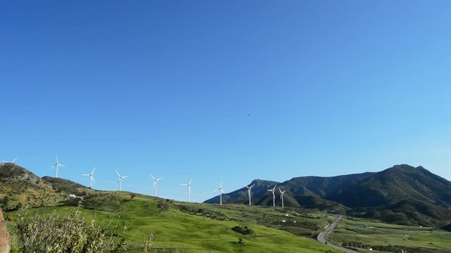 Wind turbines energy renewables towers moving in green fields