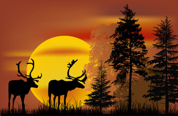 two deers silhouettes and large sun