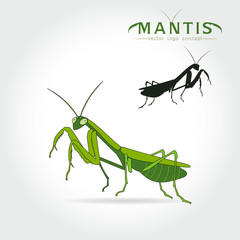 Green Mantis Vector