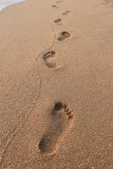 footprints in the sand