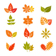 Multicolor autumn leaves flat vector icons. Fall feuille leaf collection. Set of autumn leaves, illustration maple leaf