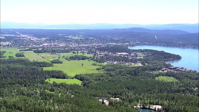 Whitefish