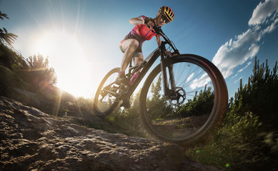 Naklejka na ściany i meble Sport. Mountain Bike cyclist riding single track.