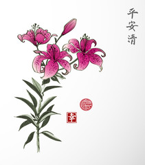 Pink Lily flowers. Traditional oriental ink painting sumi-e, u-sin, go-hua. Contains hieroglyphs - peace, tranqility, clarity, happiness. sign of great blessing