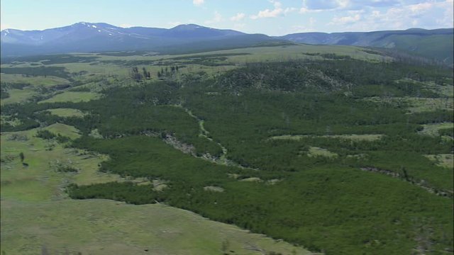 Blacktail Plateau