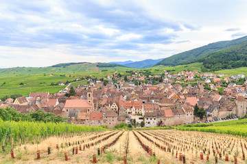 Fototapeta na wymiar View of Riquewihr village in Alsace