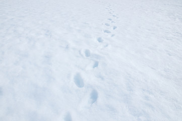 Footprint on the snow background