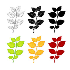 Set of colorful leaves