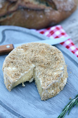 camembert fermier 19072016