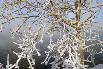 Frosty morning on the river
