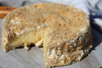 camembert fermier 19072016