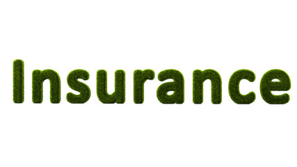 Conceptual Word Insurance Covered By Grass Isolated On White