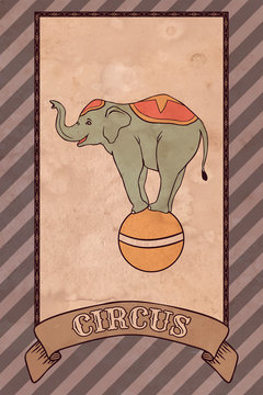 Vintage Circus Illustration, Elephant