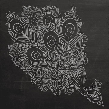 Decorative ornamental peacock chalkboard background