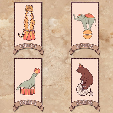 Set of circus animals: tiger, elephant, seal, bear